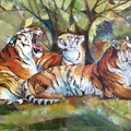 24x36 oil om canvas board Tigers