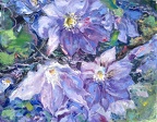 16x20 oil on canvas  clematis
