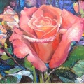 16x20 oil on canvas rasbery rose