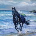 16x20 oil on canvas  black horse