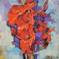 gladiolus 